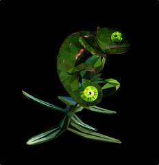 Low poly chameleon on black background, vector illustration EPS 10 isolated.  Polygonal style trendy modern logo design. Suitable for printing on a t-shirt.