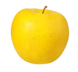 Apple on a white background