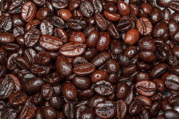 The Coffee Beans