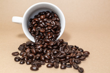 The roasted coffee beans