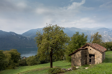 Old house in the nature