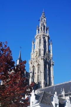 Cath&eacute;drale Notre-Dame d&rsquo;Anvers (Belgique)
