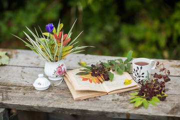 Cup of tea, book, flowers, autumn