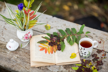 Cup of tea, book, flowers, autumn
