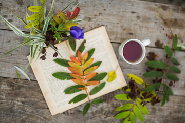 Cup of tea, book, flowers, autumn