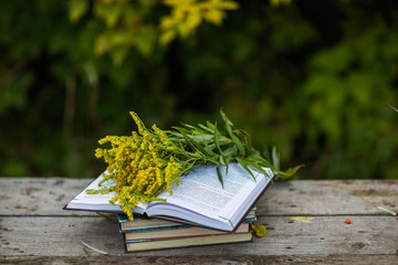 Cup of tea, book, flowers, autumn