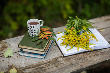 Cup of tea, book, flowers, autumn