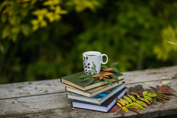 Cup of tea, book, flowers, autumn
