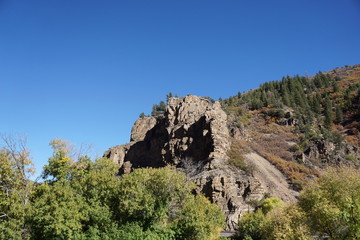 tree in the mountains