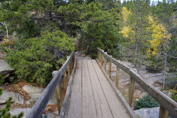 Fototapeta na wymiar bridge in the forest