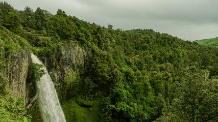 Fototapeta na wymiar Waterfall surrounded by green rainforest, and cloudy sky