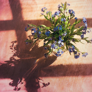 Bouquet of the fresh forget-me-nots (Myosotis arvensis) in glass in sunlight