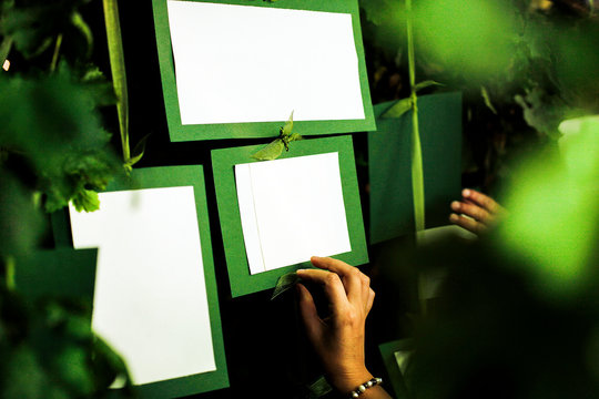 Segna posto bianco e verde appeso ad un albero con un amano che cerca il posto