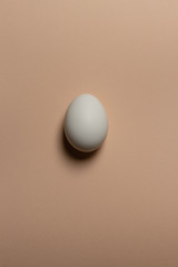 beige background. white chicken egg