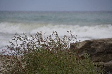 the Caspian sea the city of Aktau Kazakhstan