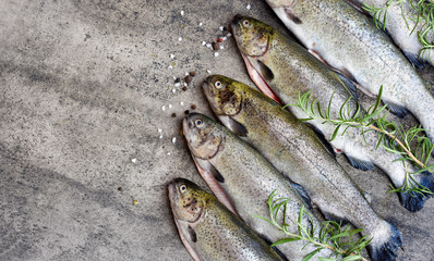 Rainbow trouts on a stone board with herbs