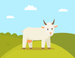 Goat Stroll on Glade Colorful Vector Illustration