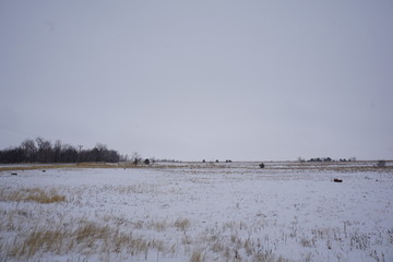 winter landscape with river and clouds