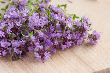 Thyme branches on wooden background.