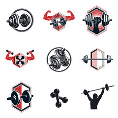 Vector fitness workout theme illustrations collection created with dumbbells, barbells and disc weights sport equipment. Muscular sportsman body silhouette.