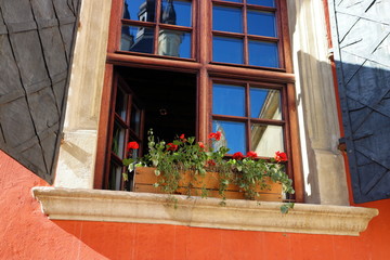 Two vintage windows with iron shutters on a red wall, decorated with blooming flowers