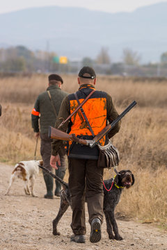 Hunter hunting with dogs in nature