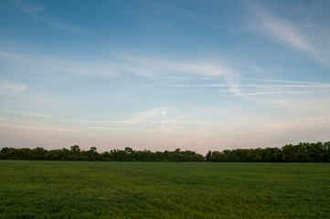 Beautiful landscape at sunset. Green wheat field at sunset