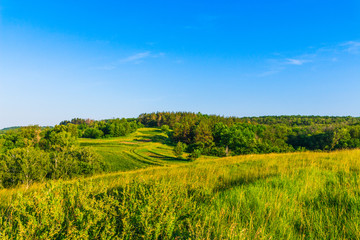Fototapeta na wymiar grass field in the beautiful landscape