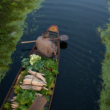 Floating market in Dal lake Srinagar Kashmir located in north of India. A   man riding a Shikara boat to sell the local product or vegetable in the local market.