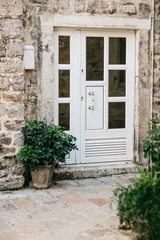 Door or entrance to a residential house decorated with plants.
