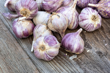 Garlic on wooden vintage background. Seedlings for planting garlic.