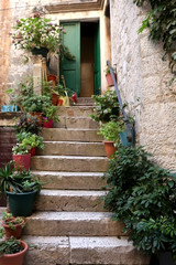 Colorful plants on stone staircase in old town Trogir, Croatia. Trogir is popular travel destination in Croatia.