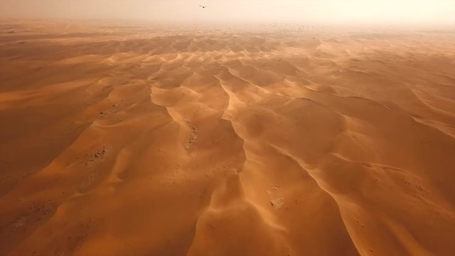 Amazing Al Qudra desert