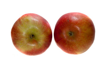 apple isolated on white background