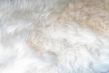 White background of soft wool, close-up of white fluffy fur, wool with a beige tone, fur with a delicate shade of peach