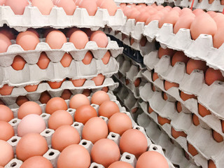 Obraz premium Many fresh egg panel stacked in layers