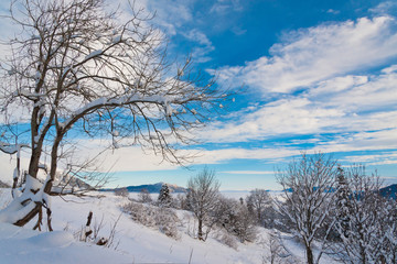 Fototapeta na wymiar Mountain day winter