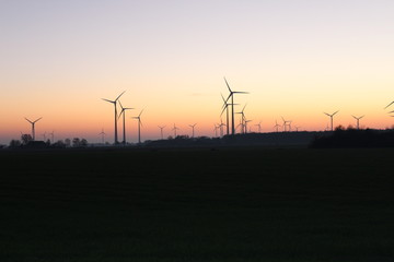 Wind farm in front of autumnal red sunset