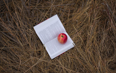 Book with apple
