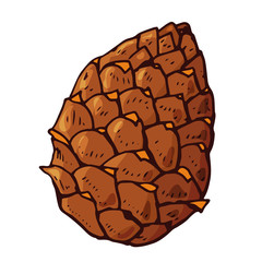 Pine cone.
