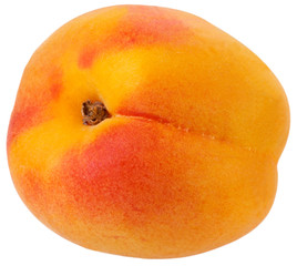 WHOLE APRICOT CUT OUT