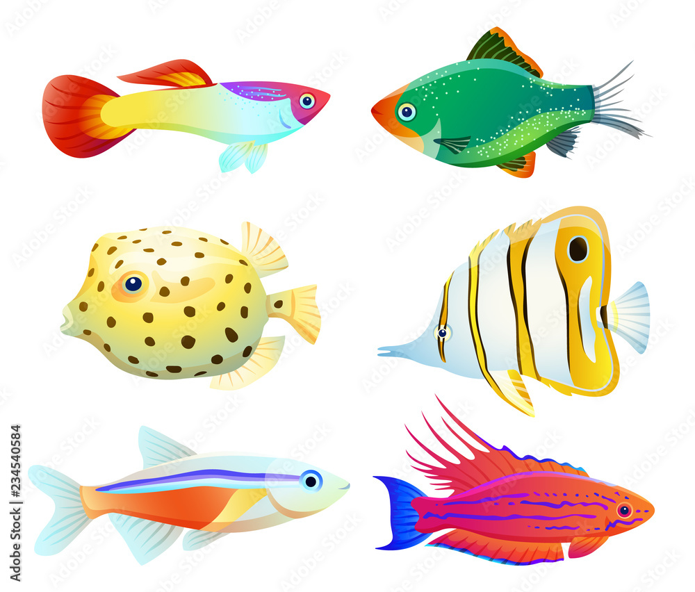 Wall mural aquarium fish silhouette isolated on white icons