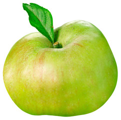 BRAMLEY COOKING APPLE CUT OUT