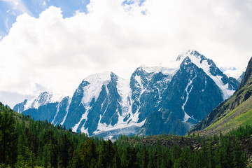 Snowy mountain top between rocky mountains under overcast sky. Rocky ridge in mist above forest. Atmospheric minimalistic landscape of majestic nature.