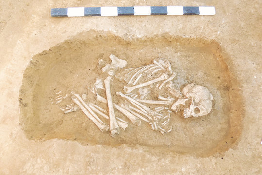 Archaeological excavations man and finds (bones of a skeleton in a human burial),  working tool, ruler, a detail of ancient research, prehistory.
