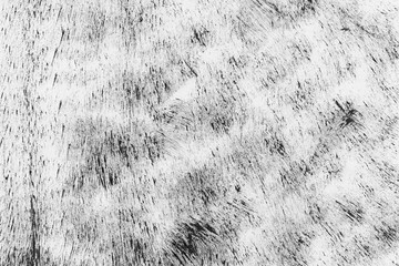 Black with grey ink texture with abstract washes and brush strokes on white watercolor paper background.