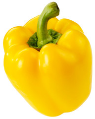 SINGLE YELLOW PEPPER CUT OUT