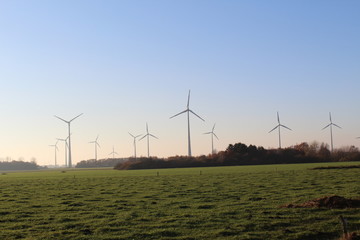 Wind farm in the autumn light