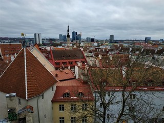 View over Tallinn old town to the skyscrapers