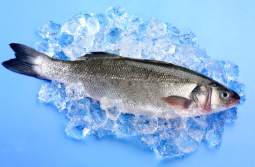 FRESH SEABASS